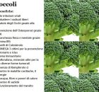 Broccoli e Proprietà Benefiche